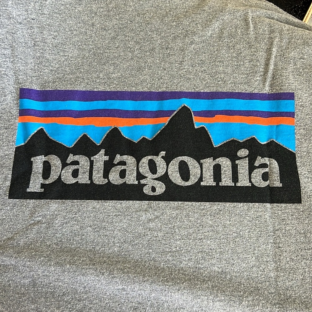 NWOT Patagonia Short Sleeve Tee - Picture 6 of 8